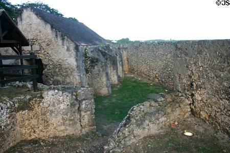 Coral walls of Fort Fleur d'Epé. Gosier, Guadeloupe.