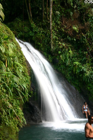 Bathing in waterfall pool of Cascade aux Ecrivisses beside route de Traversée. Guadeloupe.