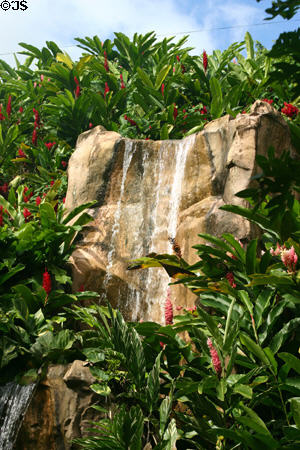 Waterfall with floral display at Domaine de Valmbreuse. Guadeloupe.