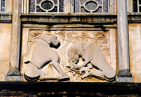 Katholikon, detail carving of lion bringing down deer on window frame in Ossios Loukas. Greece.