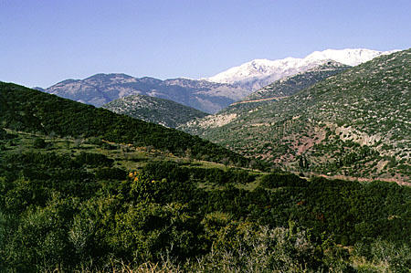 Landscape near Ossios Loukas. Greece.