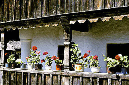 Flowers on a rail of a wooden building in Szenna Open Air Museum. Hungary.