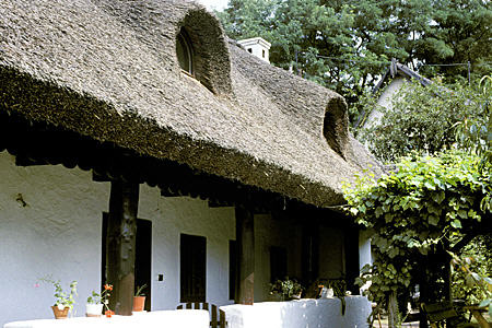 Thatched roof cottage in Szigliget. Hungary.