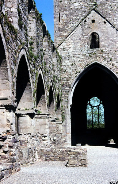 Ruins of Jerpoint Abbey (12thC) south of Thomastown. Ireland.