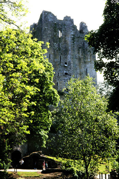 Ruins of Blarney Castle. Ireland.