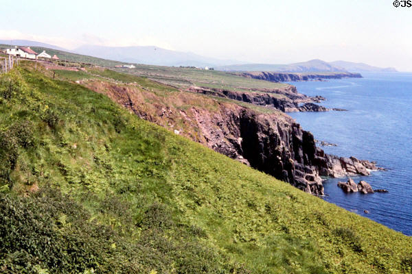 Rugged coastline at Dingle Peninsula. Ireland.