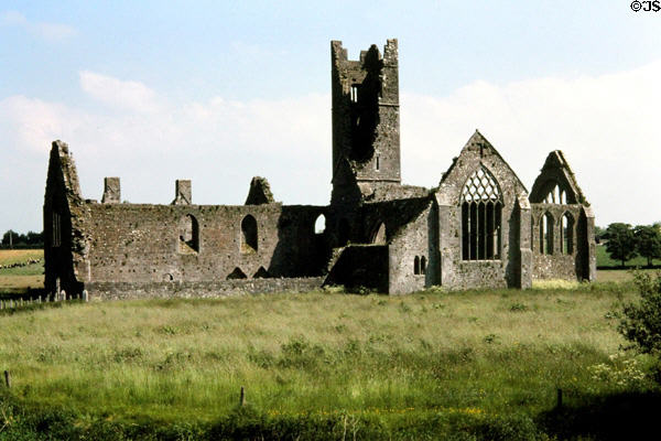 Ruins of Dominican Kilmallock Abbey (13thC). Ireland.