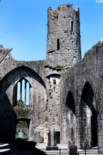 Ruins of Kilmallock Abbey. Ireland.