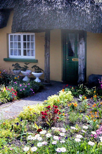 Front door of thatched roof shop in Adare. Ireland.