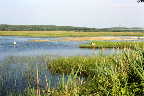 Wetlands at Mullaghmore near Sligo. Ireland.
