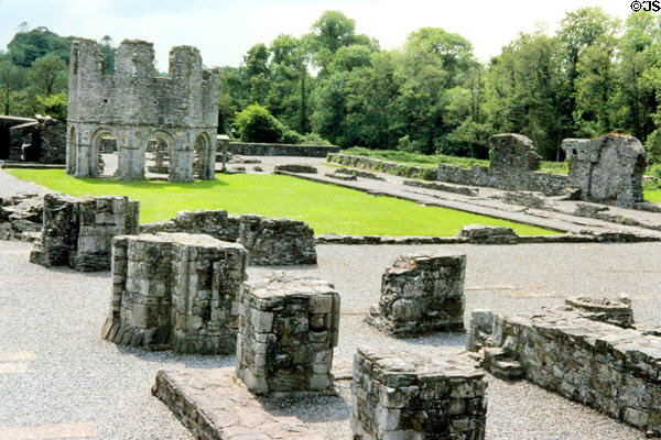 Ruins of Mellifont Abbey. Ireland.