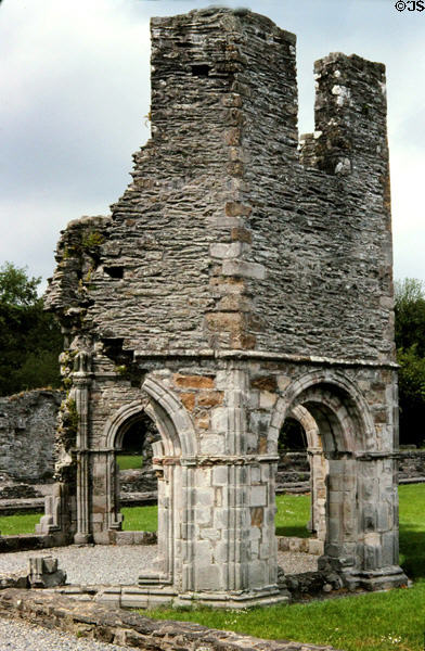 Ruin hexagonal tower at Mellifont Abbey. Ireland.