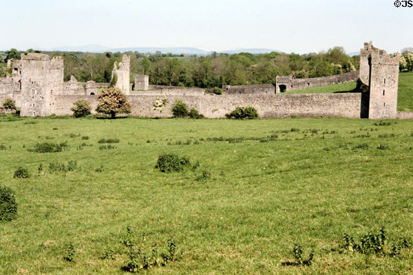 Kells Priory ruins. Ireland.