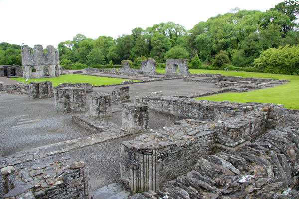 Overview of Cistercian ruins (12th-15thC) at Old Mellifont Abbey. Ireland.
