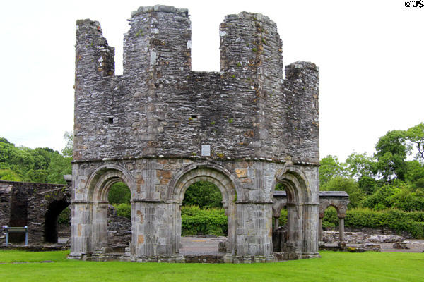 Romanesque octagonal Lavabo (12thC) in cloister at Old Mellifont Abbey. Ireland.