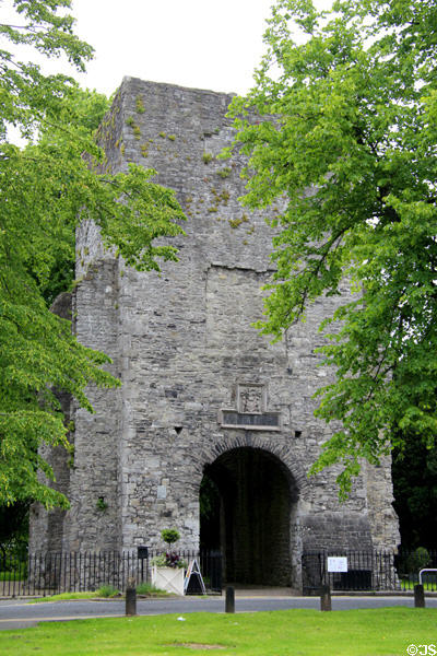 Norman gatehouse entrance (13thC) to Maynooth Castle. Ireland.