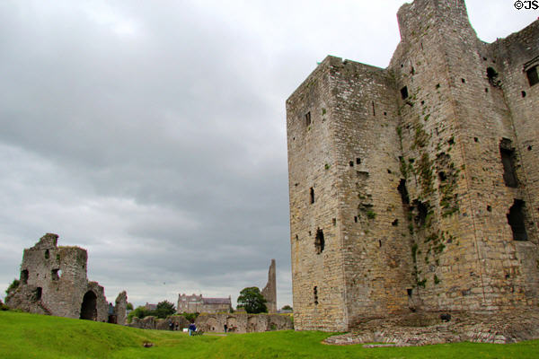 The Keep seen against curtain walls & towers at Trim Castle. Trim, Ireland.