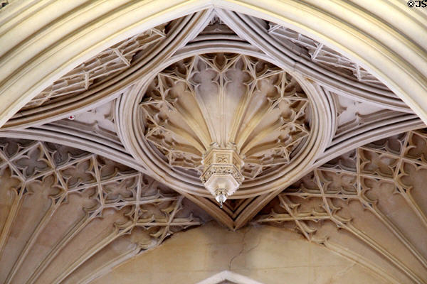 Gothic ceiling detail in Chapel Royal at Dublin Castle. Dublin, Ireland.