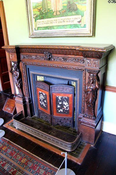 Entrance hall fireplace at Pearse Museum. Dublin, Ireland.