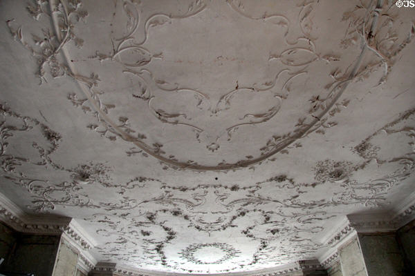 Ceiling in entrance hall at Rathfarnham Castle. Dublin, Ireland.