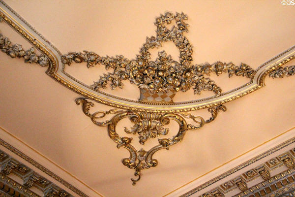 Drawing room ceiling decoration at Emo Court. Ireland.