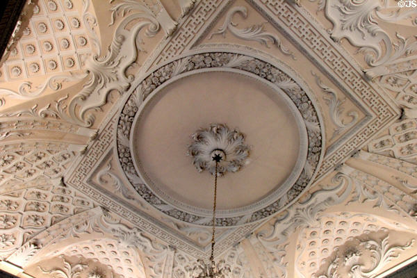 Sculpted library ceiling by Lafranchini Brothers at Russborough House. Ireland.