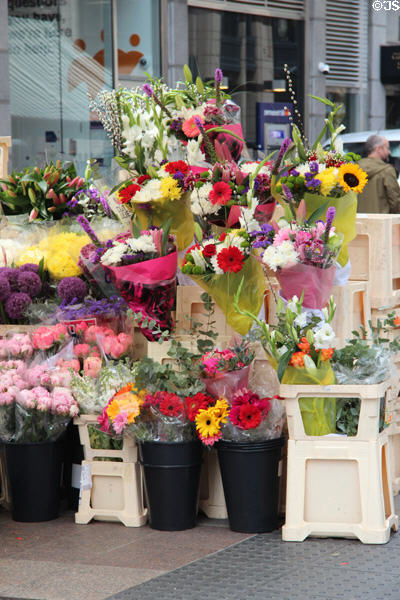 Flower stand on Grafton Street. Dublin, Ireland.