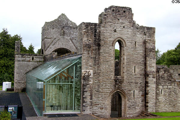 Boyle Abbey ruins (c1180-1300s). Knocknashee, Ireland.