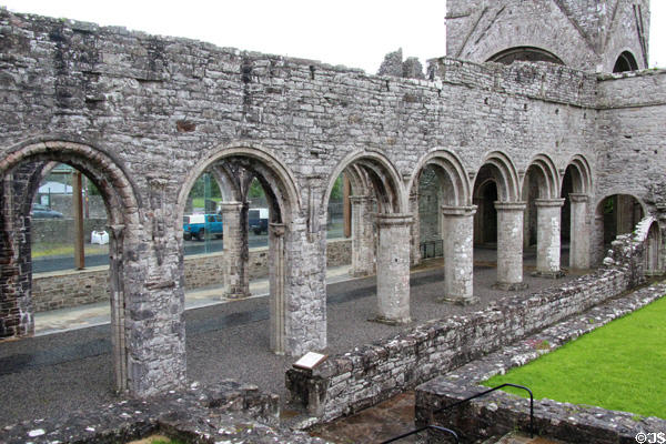 Romanesque arches of church nave at Boyle Abbey. Knocknashee, Ireland.