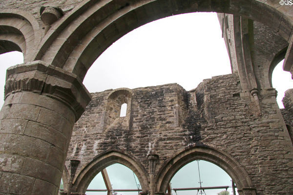Ruins of church nave at Boyle Abbey. Knocknashee, Ireland.