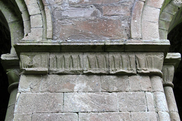 Border with carved arrowheads at Boyle Abbey. Knocknashee, Ireland.