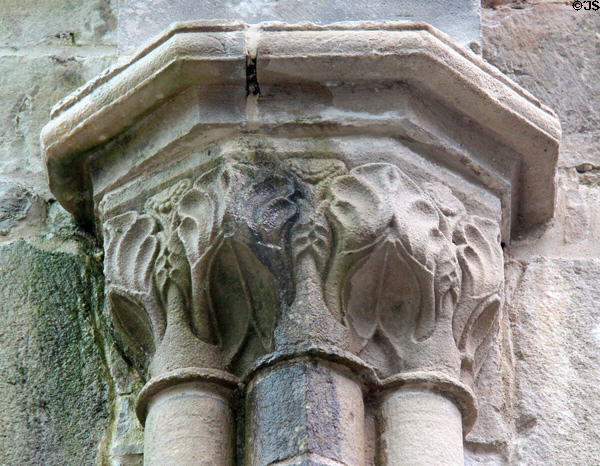 Carved nave corbel with foliage at Boyle Abbey. Knocknashee, Ireland.