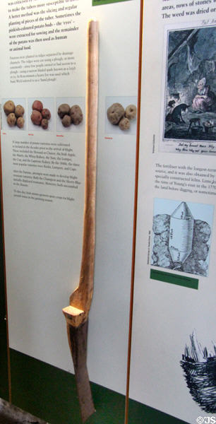 Narrow-bladed spade (loy or laige) used by poor to dig drainage channels between ridges on which potatoes were planted at Irish National Famine Museum. Vesnoy, Ireland.