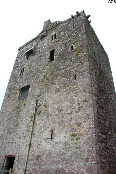 Ballyhack Castle (1450) a typical Irish tower house built by Knights Hospitallers of St John. Ireland.