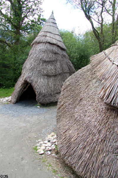 Recreation of Mesolithic settlement (7000 BCE) at Irish National Heritage Park. Ireland.