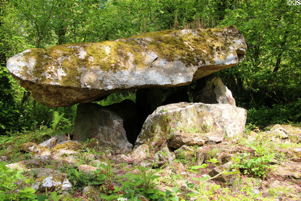 Replica of Megalithic portal tomb at Irish National Heritage Park. Ireland.