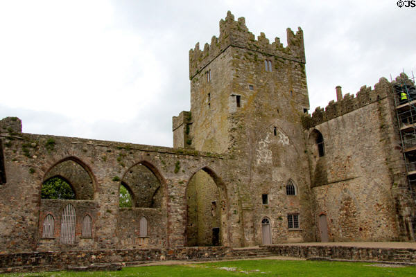 Tintern Abbey ruins (founded c1200) Cistercian Abbey. Ireland.