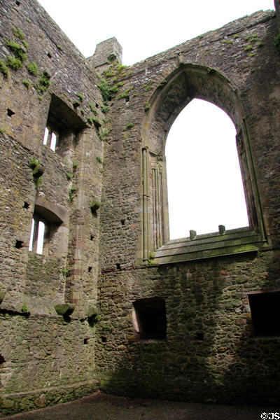 Nave of Tintern Abbey. Ireland.