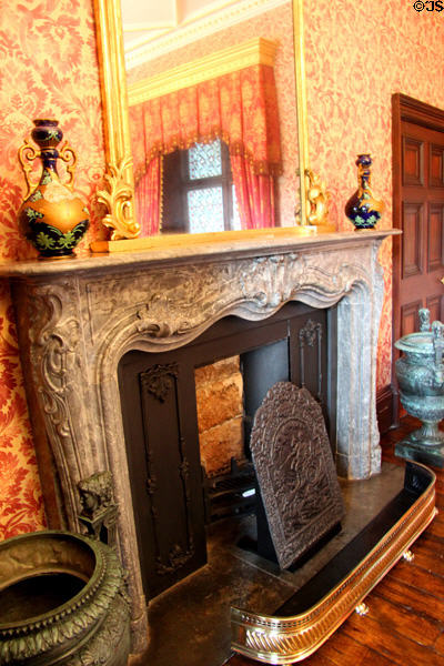 Fireplace in state dining room at Kilkenny Castle. Ireland.