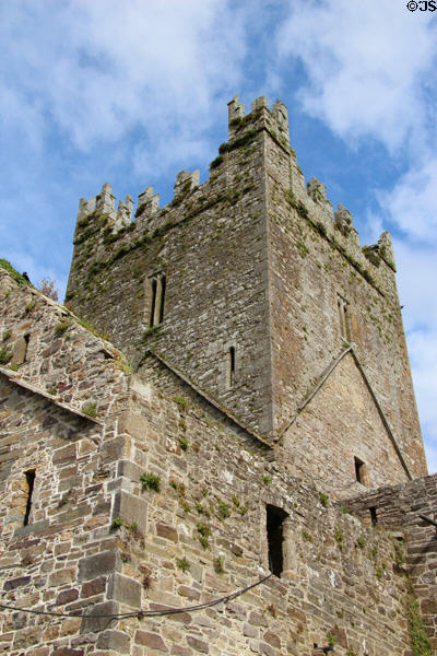 Jerpoint Abbey tower stonework details. Ireland.