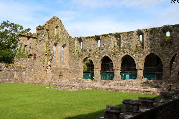 Nave ruins at Jerpoint Abbey. Ireland.