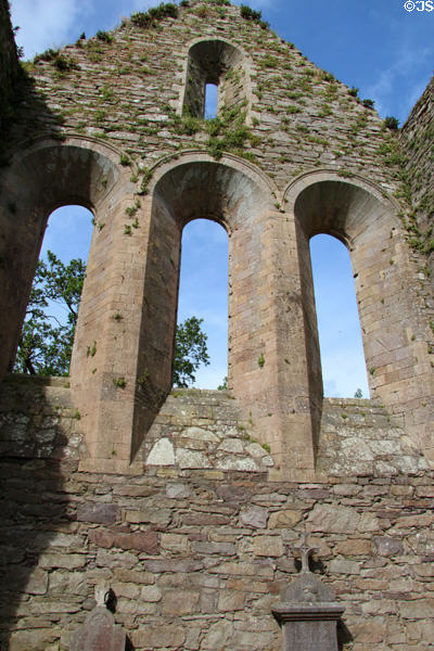 Romanesque ruins at Jerpoint Abbey. Ireland.