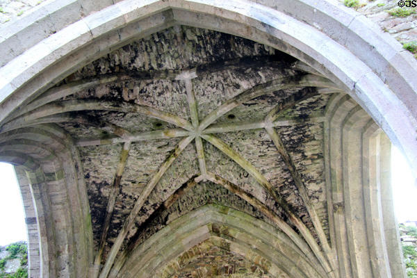 Arches of transept ceiling at Jerpoint Abbey. Ireland.