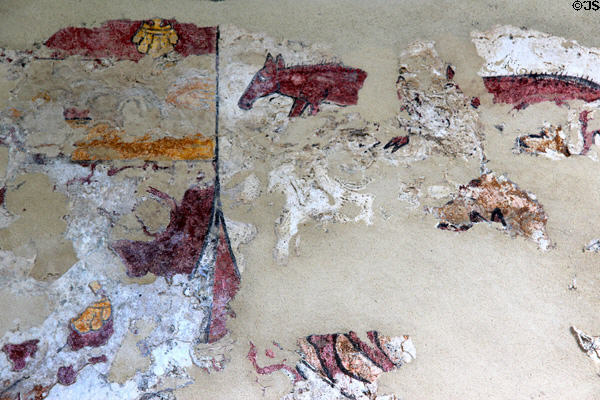 Fresco fragments with animal at Jerpoint Abbey. Ireland.