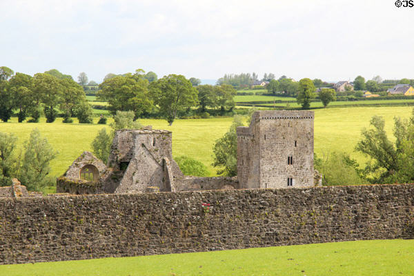 Ruins of church at Kells Priory. Ireland.