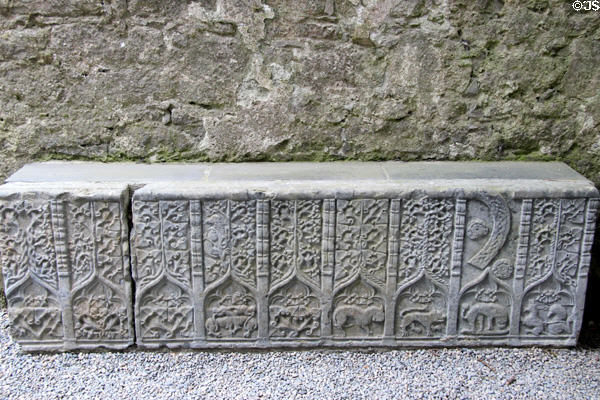 Stone tomb (16thC) carved with Celtic designs & animals in cathedral at Rock of Cashel. Cashel, Ireland.
