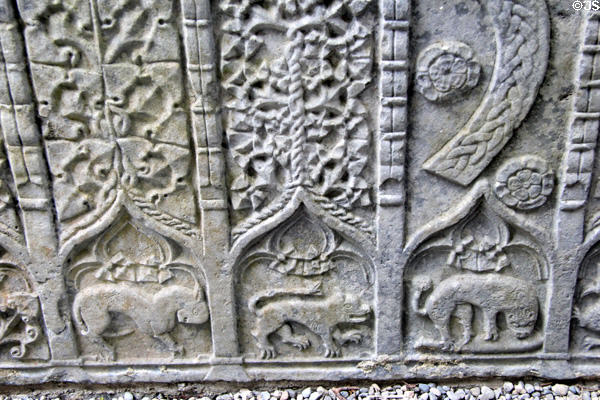 Detail of stone tomb (16thC) carved with Celtic designs & animals in cathedral at Rock of Cashel. Cashel, Ireland.