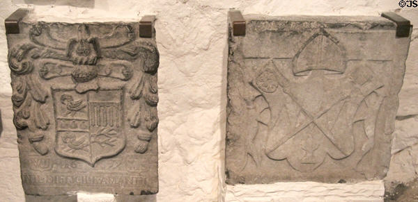 Medieval coats of arms at Rock of Cashel. Cashel, Ireland.