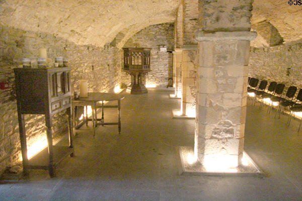 Medieval vault under Museum of Treasures used as gallery for antiquities. Waterford, Ireland.
