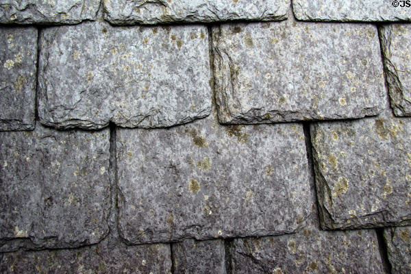 Detail of slate roof at Desmond Castle. Newcastle West, Ireland.